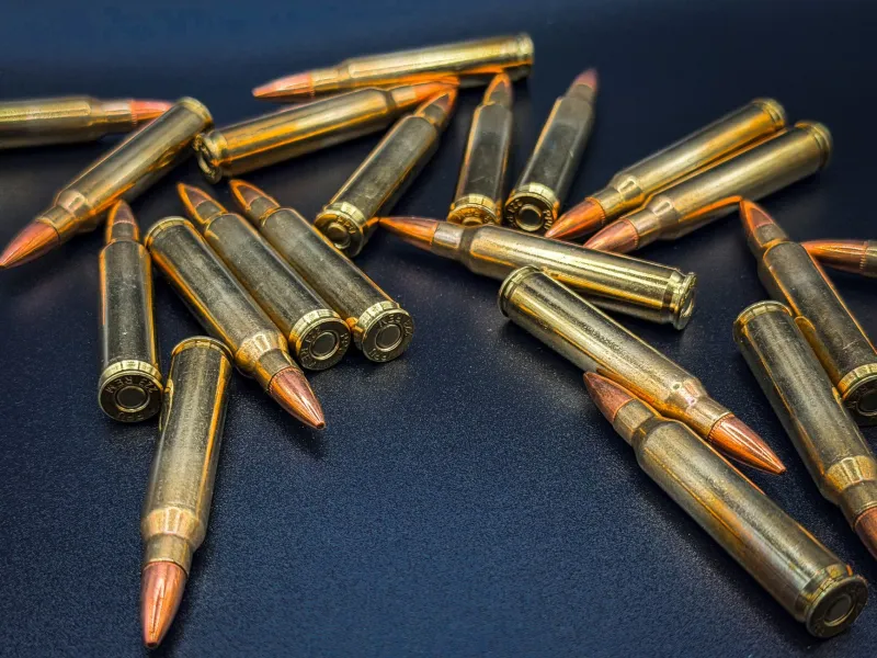 Box of Lies: The Manufacturing Tolerances Quietly Ruining Your Precision Loads