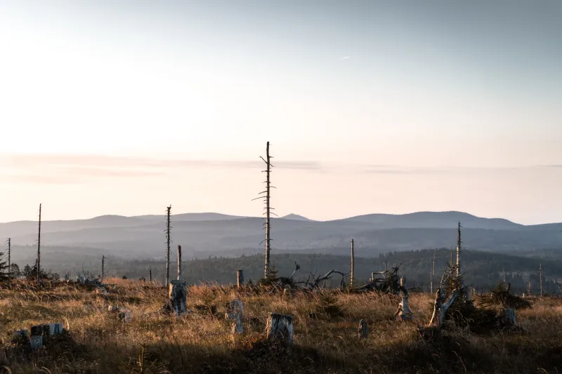 One Bad Call: The Moment Solo Hunters Go From Missing to Gone